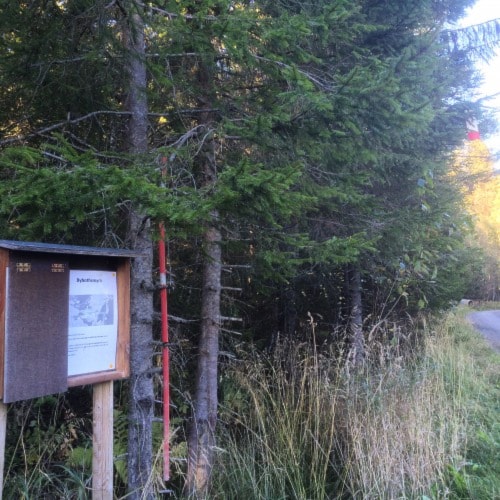 Månedens trimpost februar og månedens trimpost mars